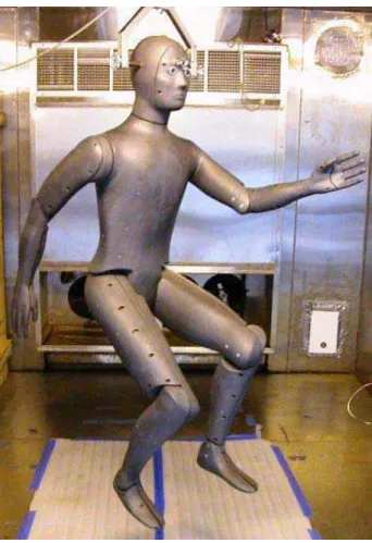 Figure 1: A NEMO model thermal manikin from Measurement Technology Northwest 