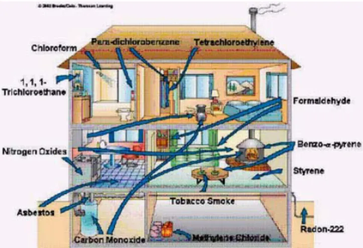 Figure 1.2‐7 Indoor Air Pollution/Sick Building Syndrome 17    