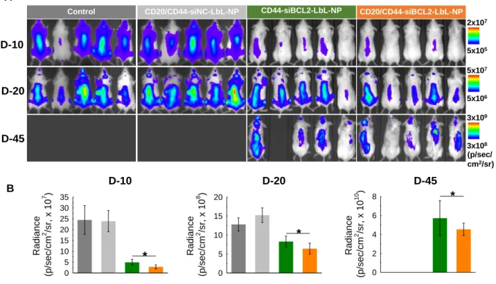 Figure 6. In vivo anticancer effect of siBCL2 LbL-NPs.    Saline, CD44-targeted siBCL2  LbL-NPs  or  CD20/CD44-dual-targeted  siBCL2  LbL-NPs  were  intravenously  injected  into  SCID  beige  mice  intravenously  inoculated  with  firefly  luciferase  exp