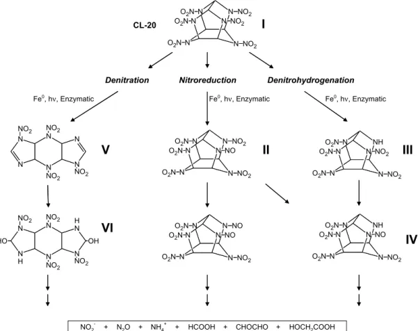 Fig. 1. Potential transformation routes for CL-20 degradation (data from Balakrishnan et al