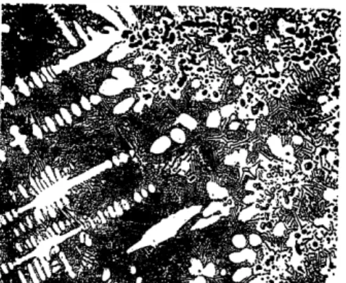 Fig  8  - Important annealed  microstructures  (reduced  one-half)