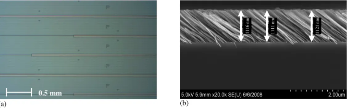 Fig.  4.  Sensing  windows  and  TiO 2  thin  film  structure  (a)  microscope  image  of  a  processed  wafer depicting sensing windows where, SiO 2  layer has been etched, and (b) SEM image of a  typical film deposited onto stationary processed wafer