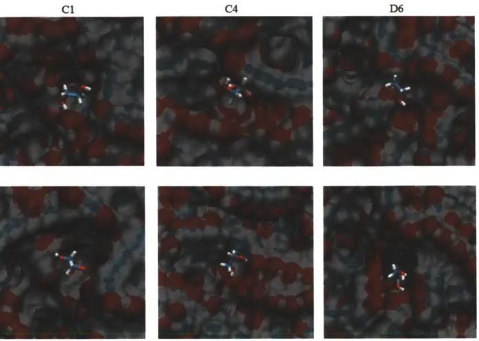 Figure 3-7. Binding  sites Cl,  C4 and D6  before  and  after solvent  equilibration.