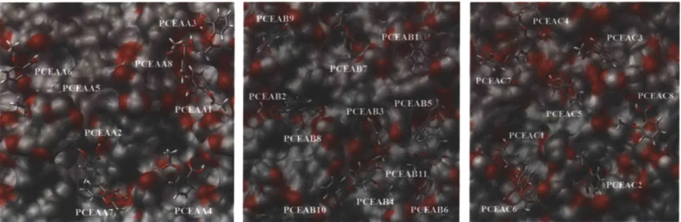 Figure  4-5.  Major  binding  sites  on  the  surfaces  PCEAA  (left),  PCEAB  (middle)  and  PCEAC (right) of PCEA,  as  identified  by Adsorption  Locator.