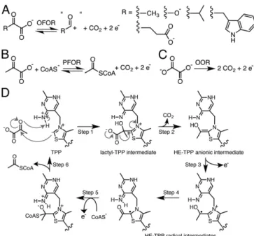 Fig. 1. OFOR reactions and PFOR reaction scheme. (A) General scheme of OFOR reactions