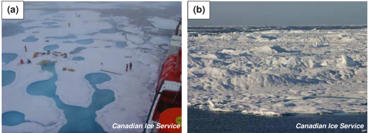 Figure 1 shows two very different multi-year floes encountered by Canadian Coast Guard  icebreakers operating in the Beaufort Sea during the summer of 2005