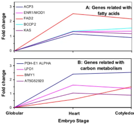 Fig. 5. Gene expression profile of WRI1 and LEC1. Note the  difference in the scale of vertical axis between panels B and C