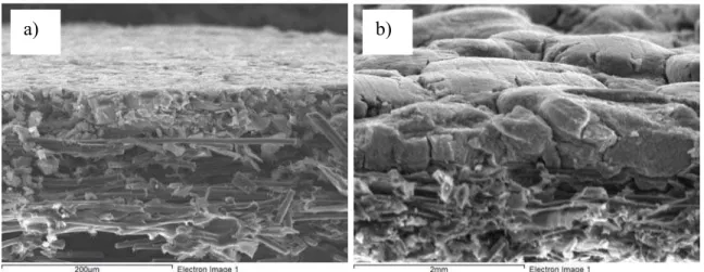 Figure 5  Tilted SEM cross-section images of as-prepared stenciled (Fig. 5a) and  sprayed (Fig