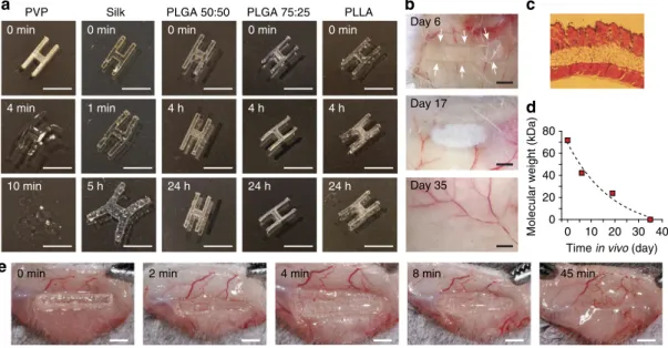 Figure 3 | Biodegradation of biopolymer-based waveguides. (a) Short-term behaviour of bio-polymer ﬁlms are shown by immersing H-shaped waveguide samples into PBS