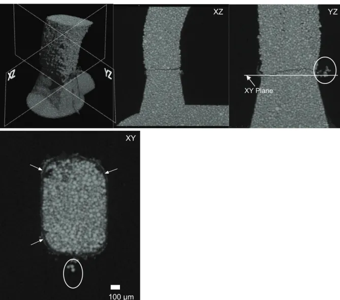 Figure  10. High  resolution  MicroCT  reconstruction  of  the  6.6%  short  shot  produced  at  100mm/s  injection  speed  with CpTi-45µm feedstock and orthogonal slices across the gate.