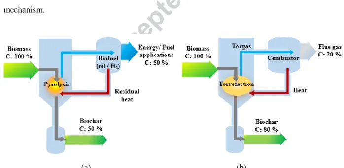 Figure  3  compares  the  biochar  production  processes  through  pyrolysis  and  torrefaction  of  biomass