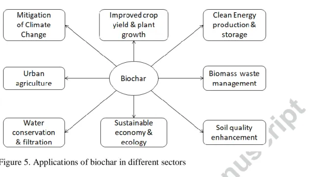 Figure 5. Applications of biochar in different sectors 
