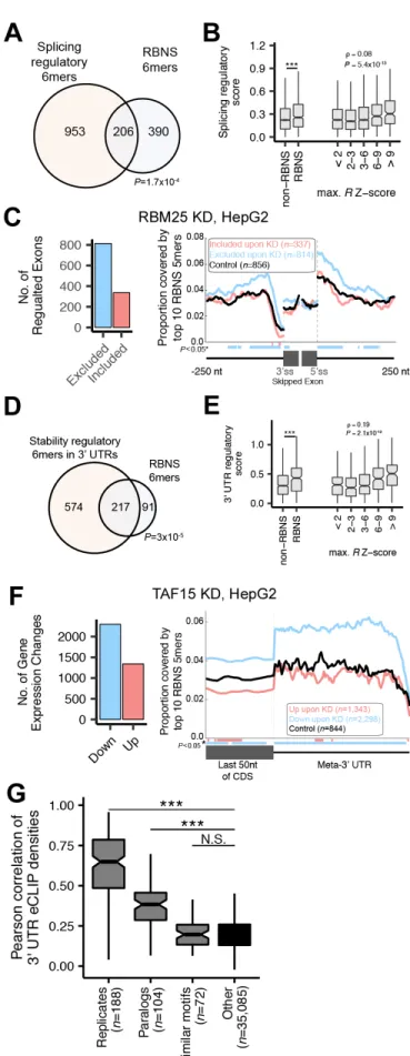 Figure 2-3: RBNS-derived motifs are associated with regulation of mRNA splicing and stability in vivo