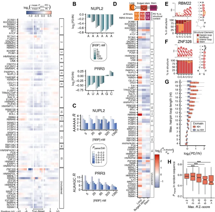 Figure 2-4: RNA secondary structural preferences of RBPs