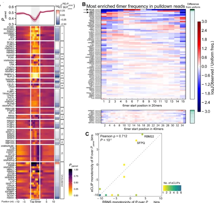 Figure 2-S4: In vitro and in vivo structural preferences of RBPs and distribution of enrichments across reads