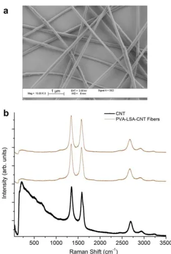 Fig. 1 – (a) SEM image of PVA-LSA-CNT fibers, (b) Raman spectra of CNT and two different spots of PVA-LSA-CNT fiber mat.