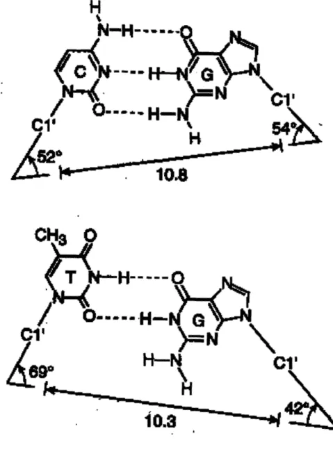 Figure 1.9.  GeonmetriC  charetics  of 