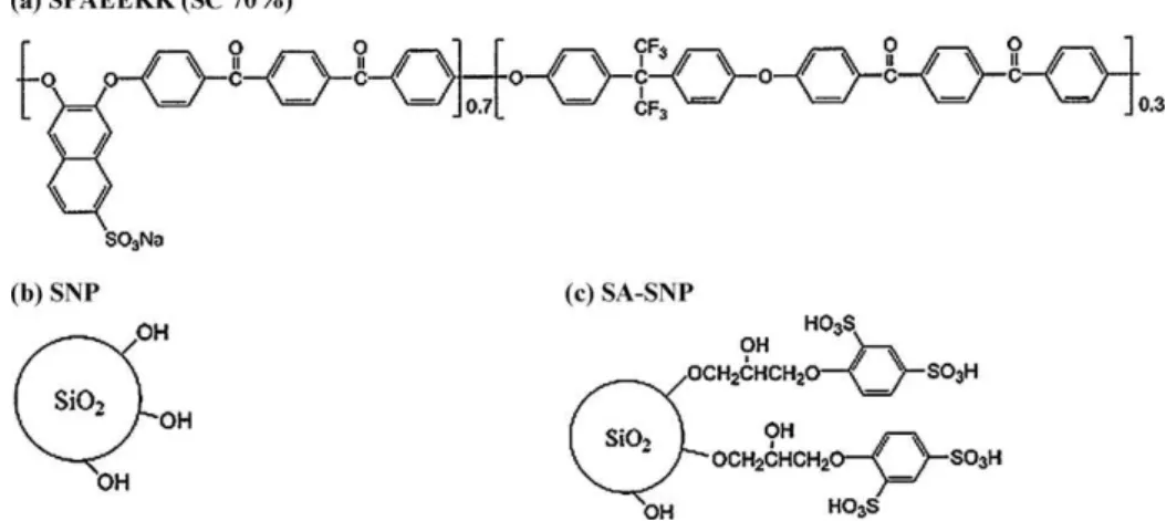 Fig. 1. Chemical structures of (a) polymer electrolyte SPAEEKK (SC 70%) [33];(b) SNP and (b) SA-SNP [35,36] used in this work.