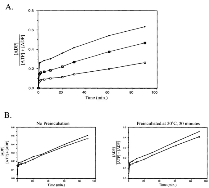 Figure 1.  DnaK  Preparations  Show  a  Stoichiometric  Initial  Burst of ADP Production Which Preceeds  Steady-State  ATP Hydrolysis