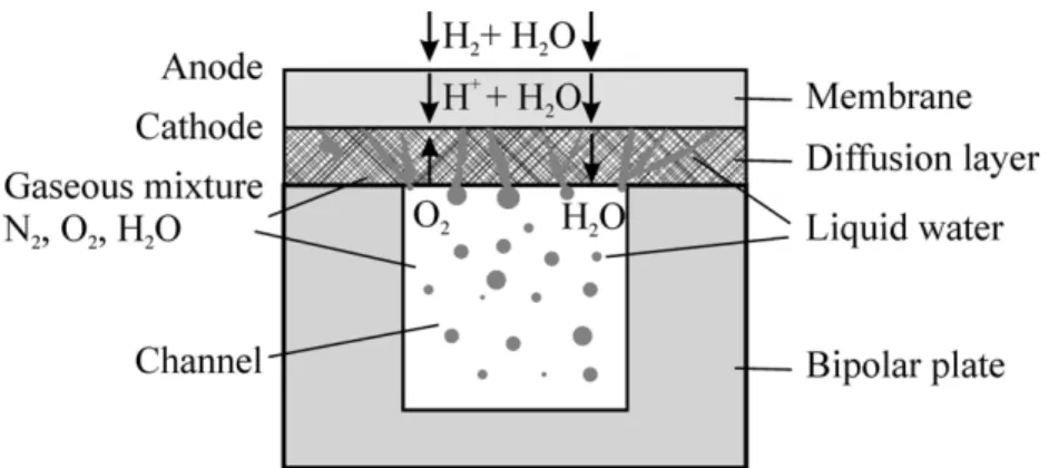 Figure 1 illustrates the problem schematically: hydrogen molecules are oxidized to form protons at the anode and pass through the hydrated membrane to combine with oxygen and form water at the cathode