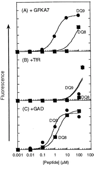Fig. 3.  DQ8  and DQ9  Direct Binding  Assay with Three  Peptides  [(A)  GFKA7,  (B)  TfR,