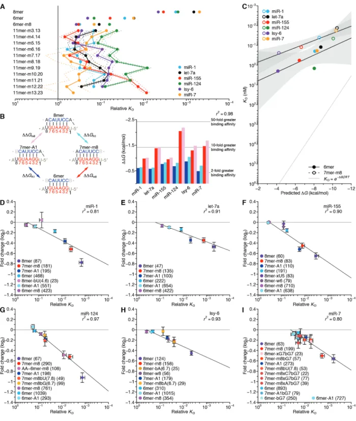 Fig. 3. Additional analyses of binding affinities and the correspondence between binding  affinity and repression efficacy
