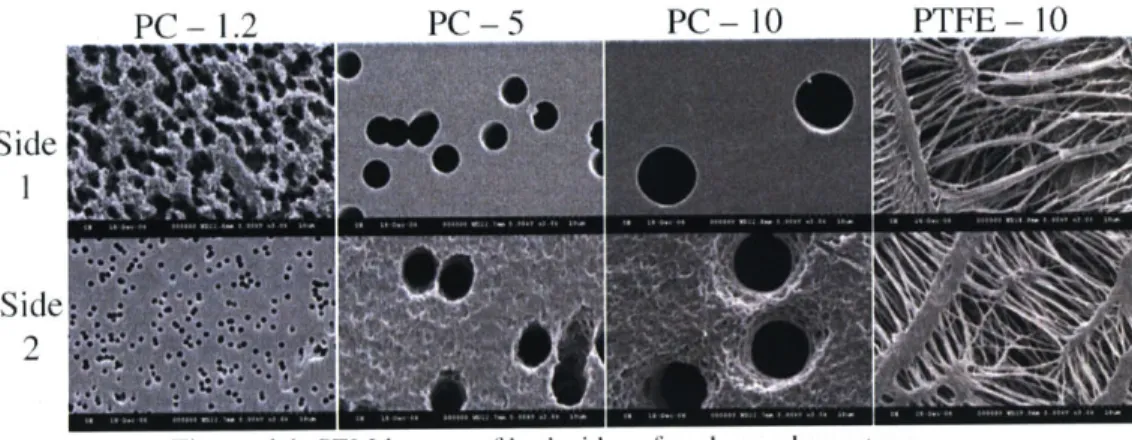 Figure 4.1  SEM  images of  both sides  of each  membrane  type.