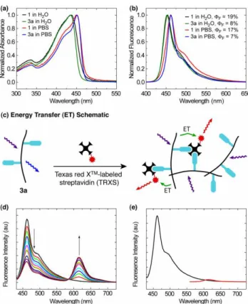Fig. 1  (a) Absorbance spectra of 1 and 3a in water and PBS solution. (b)  Fluorescence  spectra  of 1  and 3a  in water  and  PBS  solution