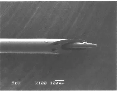 Figure  1-4  SEM  Micrograph  of the Injectrode  Device