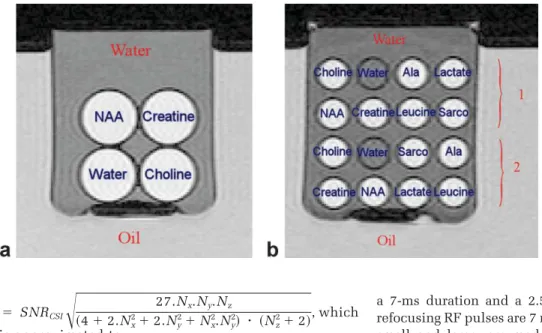 FIG. 4. Front axial slice of acquired metabolite spectra for the 2 ⫻ 2 ⫻ 2 WE-SI (A) and CSI (B)