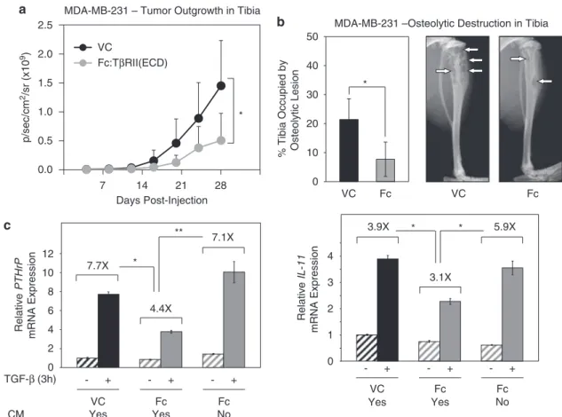 Figure 2 MDA-MB-231 breast cancer cells expressing Fc:TbRII(ECD) show reduced outgrowth and formation of osteolytic lesions in bone