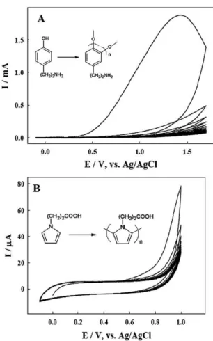 Fig. 1 (A) Electropolymerization of 0.1 M tyramine hydrochloride (dissolved in methanol with 0.3 M NaOH) on the BDD electrode