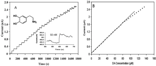 Fig. 5 (A) A typical current–time response of the PPA/PTy-modified BDD electrode upon successive additions of 5 mM DA in pH 7.0 phosphate buffer.