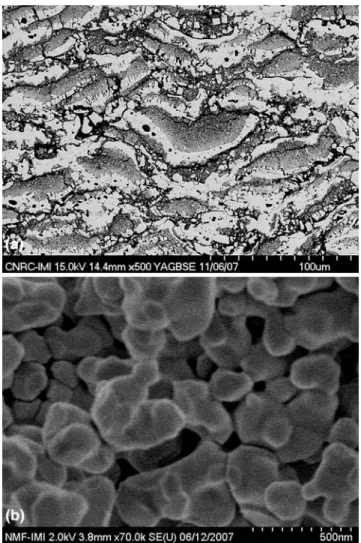Fig. 4 As-sprayed conventional YSZ coating Fig. 5 As-sprayed nanostructured YSZ coating observed at low (a) and high magnifications (b)