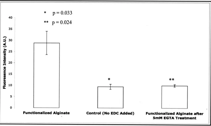 Figure  9  Surface  functionalization  with  FITC-avidin.  Specific  carbodiimide  mediated  functionalization was  confirmed  by  comparing to  a control sample  in which EDC  was  omitted