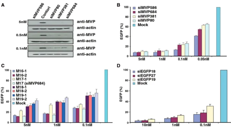 Figure 3. The positions and numbers of siMVPs identiﬁed in each drug selection cycle. HeLa cells expressing the CD-MVP hybrid  tran-script were incubated with E