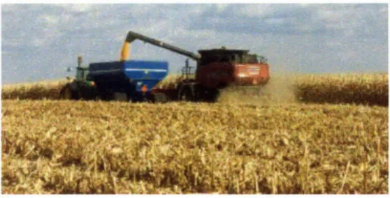 Figure  14:  Combine  Harvesting  of Wheat