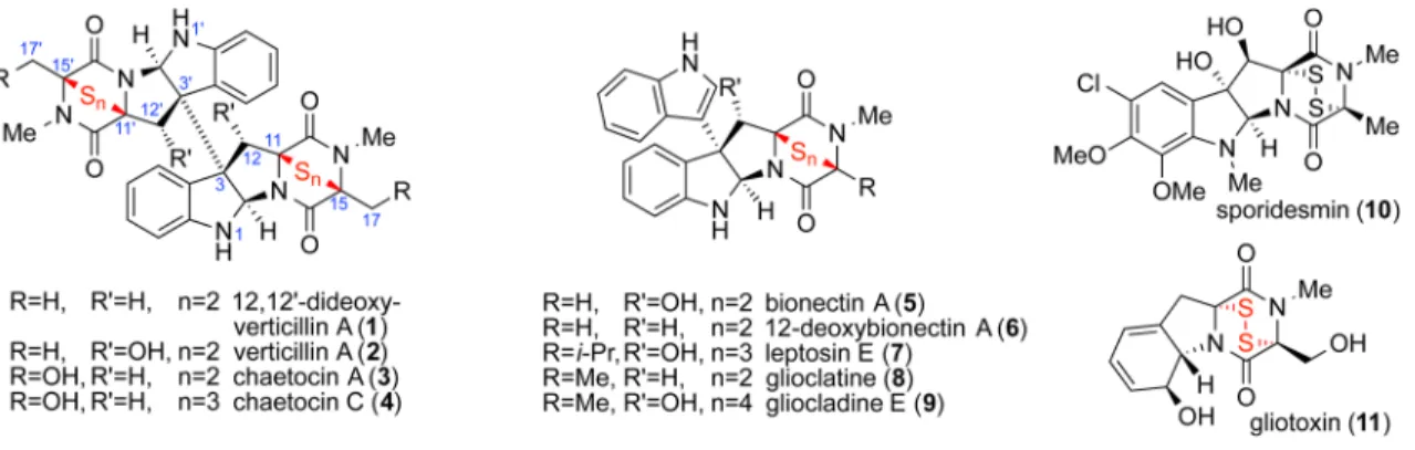 Figure 1. Representative structures of epipolythiodiketopiperazine alkaloids.
