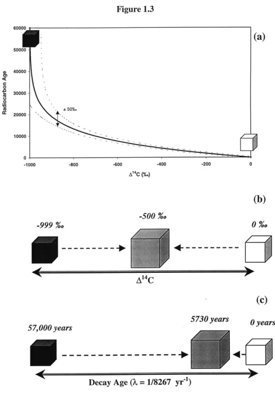 Figure  1.3 (a) 0  1 -1000  -800  -600  -400  -200  0 A 14 C (%.) (b) -999  % -500  %