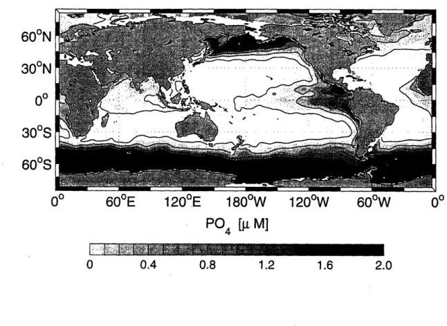 Figure  1-11:  Annual  mean  surface  phosphate  distribution  in  the  global  ocean  based on  the World  Ocean  Atlas  2001  (Conkright  et al.,  2002)