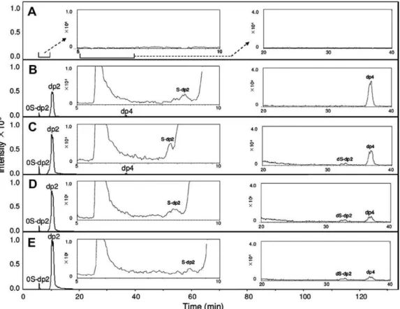 Fig. 4. EIC of prod ucts digested by chon dro itin ase AC II (A. au res cens): (A) 0-min ali quots; (B) 10-min ali quots; (C) 30-min ali quots; (D) 60-min ali quots; (E) 120-min ali quots