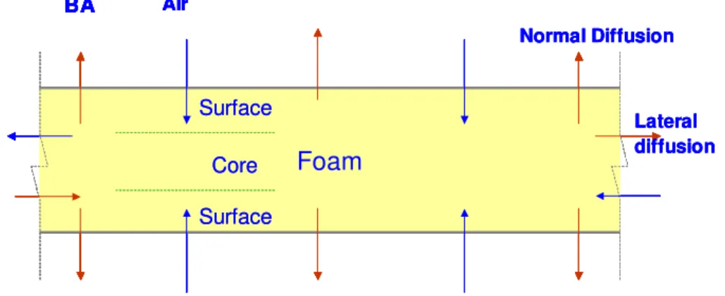 Figure 6 – Diffusion processes in closed-cell foam insulation 
