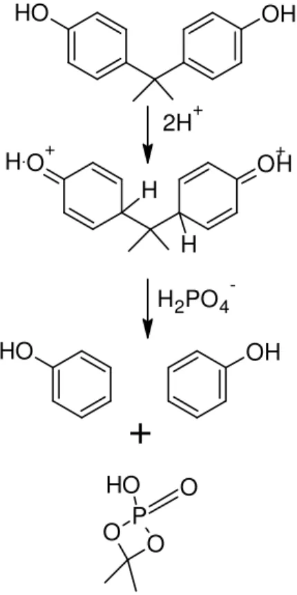 Figure 4.  Proposed mechanism for the conversion of bisphenol-A to phenol.  