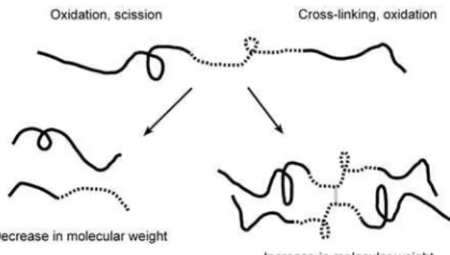Figure 3.  Illustration of the effect of scission and cross-linking on the size of the  copolymer