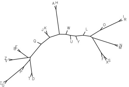 Fig. 3. A phylogenetic tree of voice–proteins. This tree was created using the Phylip [10] tree drawing program from a multiple sequence alignment of all 26 voice–proteins from a single speaker