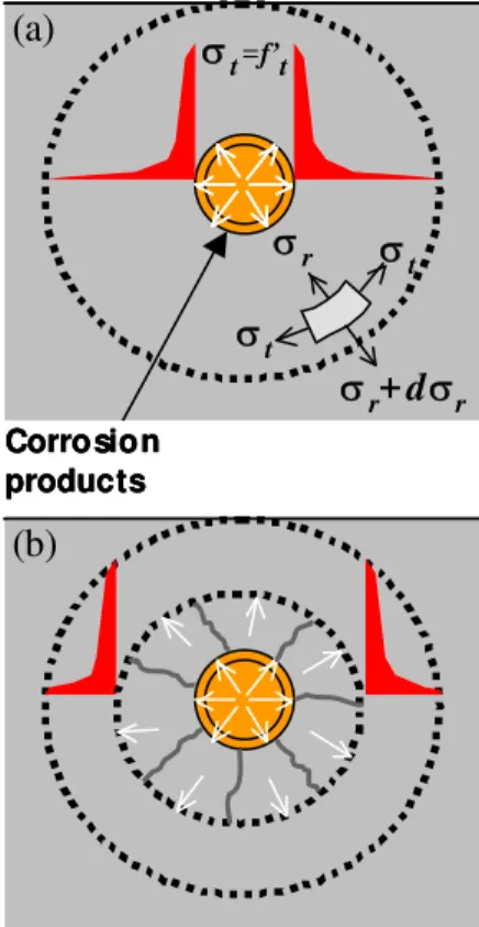 Figure 5. Thick-wall cylinder model of corroding reinforced  concrete deck: (a) Tensile stresses developed at crack  initia-tion; (b) Propagation of internal cracks in thick-wall concrete  cylinder
