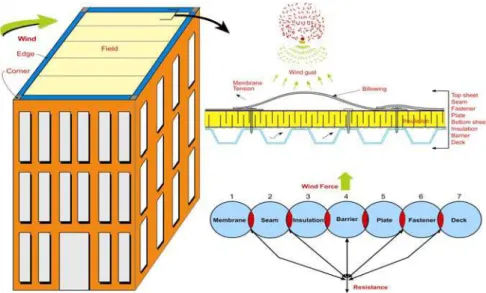 Figure 1:  Wind Effects on Mechanically Attached Roofing System (MARS)  In MARS, the structural deck could be concrete or steel, however, the steel decks  have been used for years and is the primary decking material