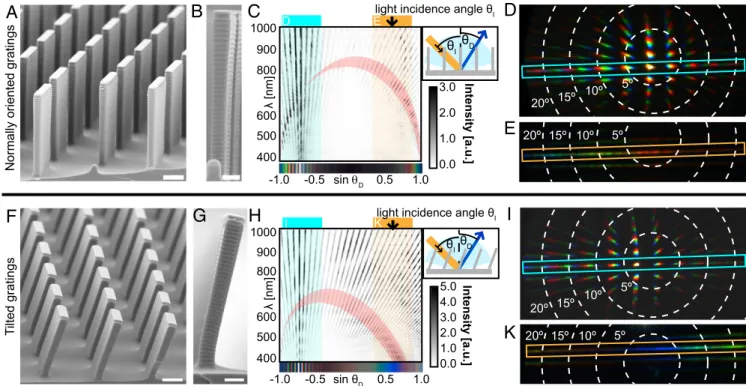 Fig. 2. Geometry and optical properties of the artificial photonic structure mimicking P