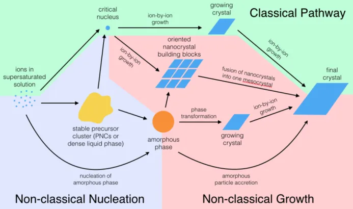 Figure 2.5 Diagram of the different possible nucleation and growth pathways of biominerals
