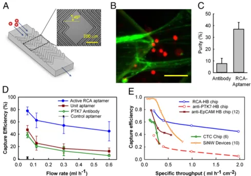 Fig. 4. Micro ﬂ uidic RCA-HB chip for cell capture. (A) Design of the HB-chip with grooves shown in the blowout